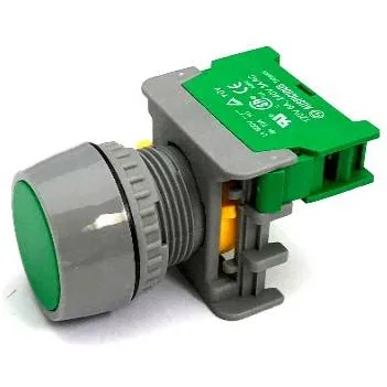 Push Button Green Color w/ 1N/O Contact