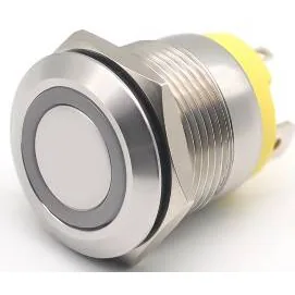 - 2NO Contact - 19mm 20A 250V Metal Illuminated Button Colors: Red, Green, Blue