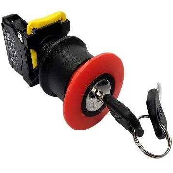 22mm Emergency Stop Switch w/ Key
